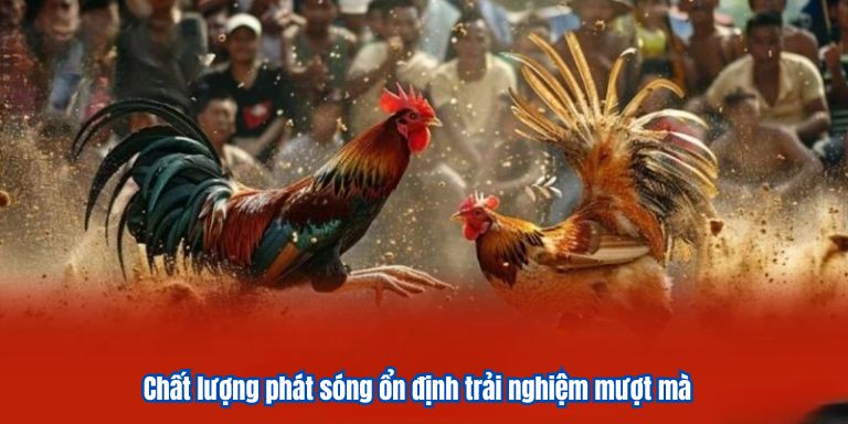 Chất lượng phát sóng ổn định trải nghiệm mượt mà