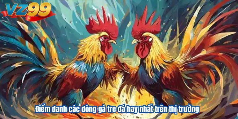 Điểm danh các dòng gà tre đá hay nhất trên thị trường