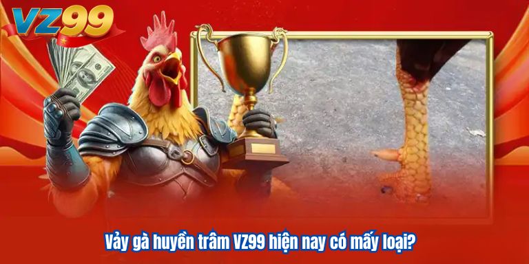 Vảy gà huyền trâm VZ99 hiện nay có mấy loại?