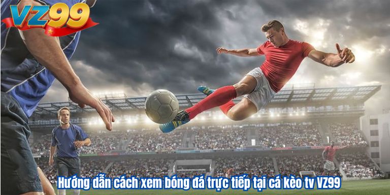 Hướng dẫn cách xem bóng đá trực tiếp tại cá kèo tv VZ99