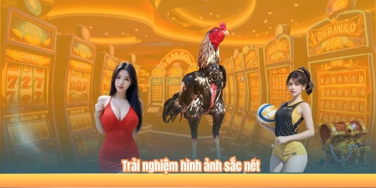 Trải nghiệm hình ảnh sắc nét